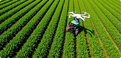 Smart Solutions for Sustainable Agriculture
